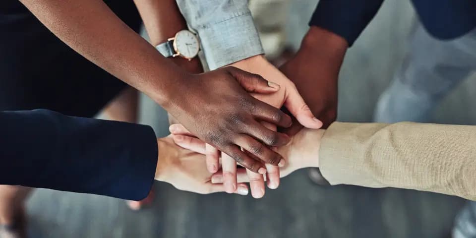 Meet the Minds, Behind Our Success